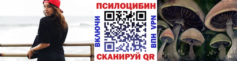 darknet как зайти Инсар Галлюциногенные грибы Psilocybine cubensis хочу МЕГА зеркало